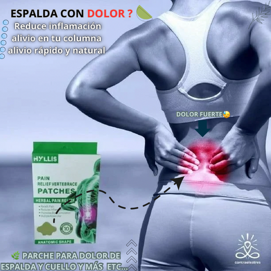 PARCHE DOLOR COLUMNA X10 2521
